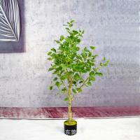 uploads/erp/collection/images/Home Garden/dgjiawang/XU0613064/img_b/XU0613064_img_b_2